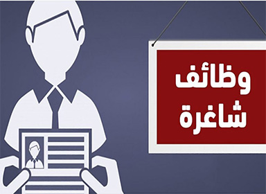 إعلان توظيف جامعة المنصورة الجديدة