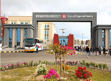وظائف شاغرة بجامعة المنصورة الجديدة للعام الجامعي 2025 -2026