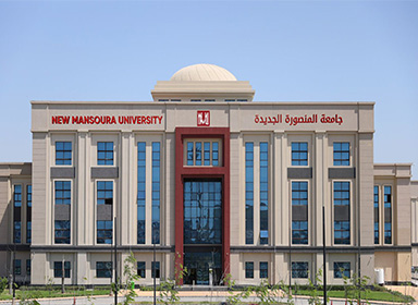 دليل الهوية البصرية لجامعة المنصورة الجديدة